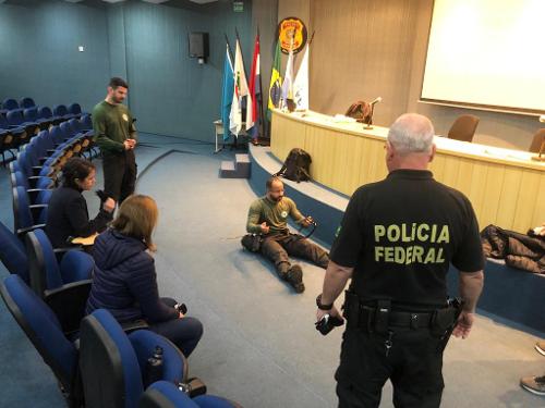 Imagem de destaque