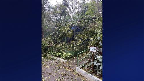 zoológico de Cascavel