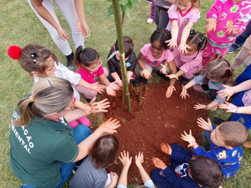 Alunos fazem plantio de árvore