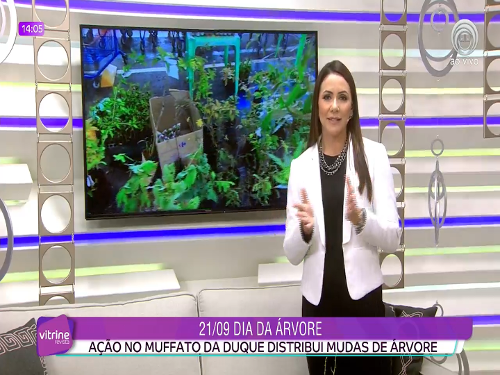 Imagem de destaque