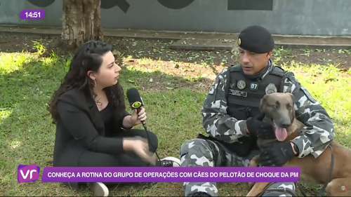 Imagem de destaque