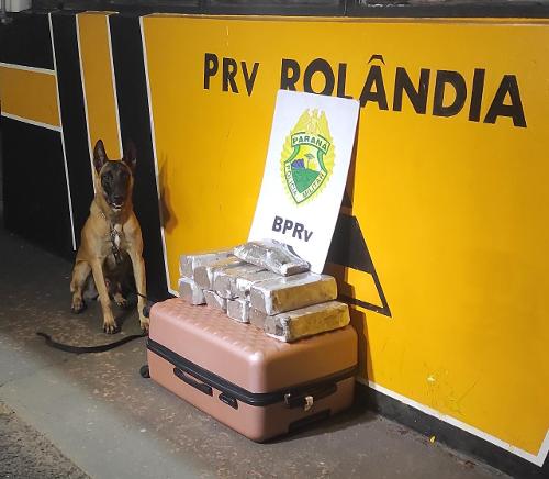 Apreensão Rolândia