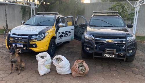 Com ajuda de cão farejador, policiais encontram 80 quilos de crack em caminhão