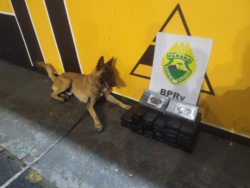 Imagem de destaque