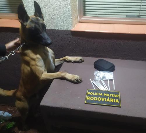 Imagem de destaque