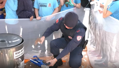 Imagem de destaque