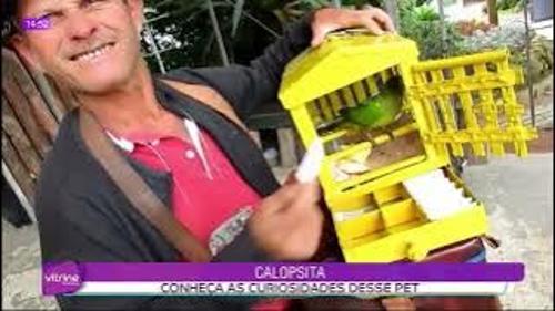 Imagem de destaque