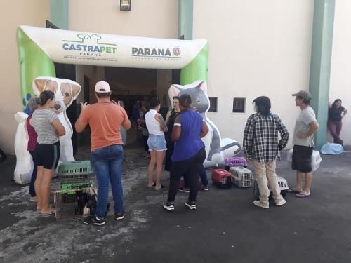 Imagem de destaque