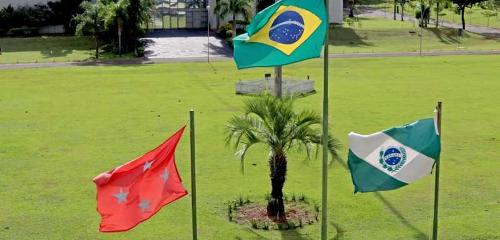 Imagem de destaque