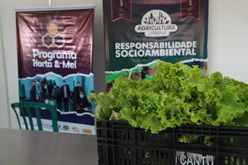 Imagem de destaque