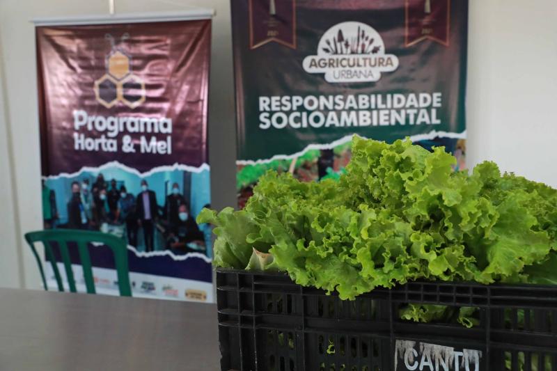 Imagem de destaque