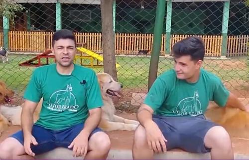 Imagem de destaque