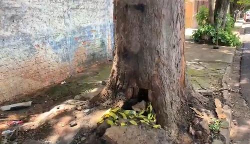 Imagem de destaque