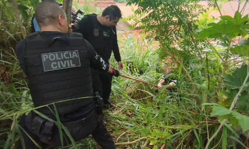 Imagem de destaque