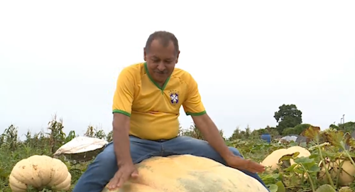 Imagem de destaque