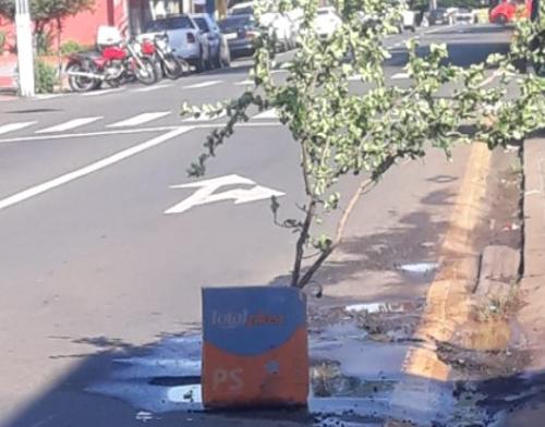 Imagem de destaque