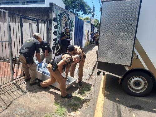 Imagem de destaque