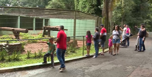Imagem de destaque