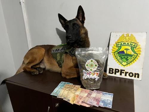 Imagem de destaque