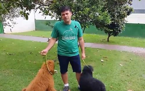 Imagem de destaque