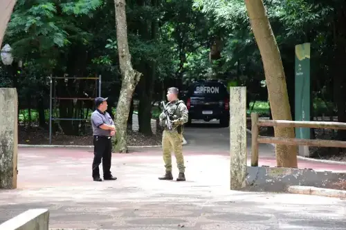Imagem de destaque