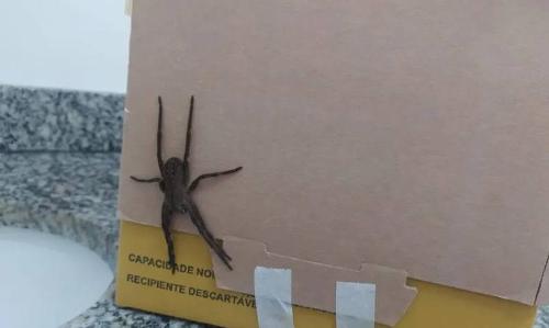 Imagem de destaque
