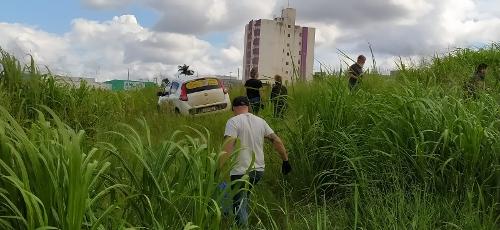 Imagem de destaque