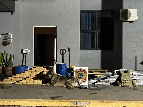 Imagem de destaque