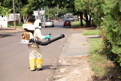 Imagem de destaque