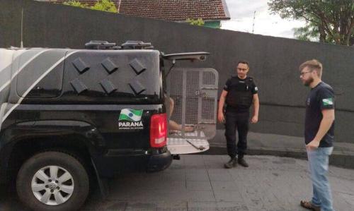 Imagem de destaque