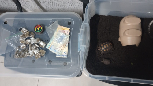 Imagem de destaque