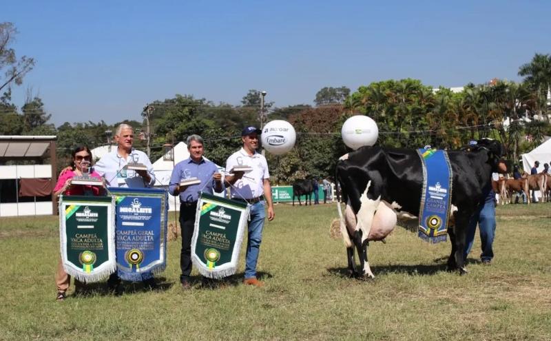 Imagem de destaque