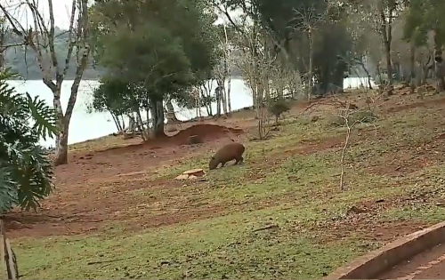 Imagem de destaque