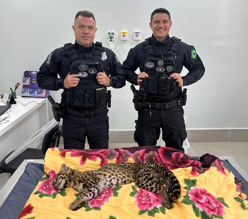 Imagem de destaque