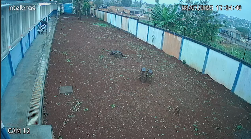 Imagem de destaque
