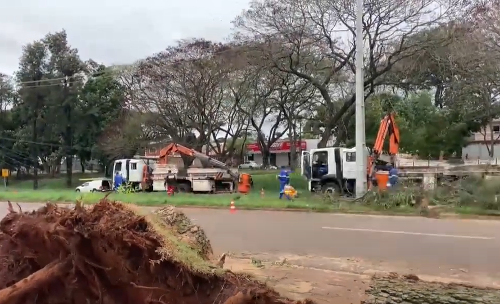 Imagem de destaque