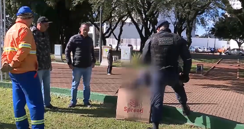 Imagem de destaque