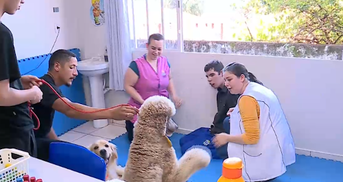 Imagem de destaque