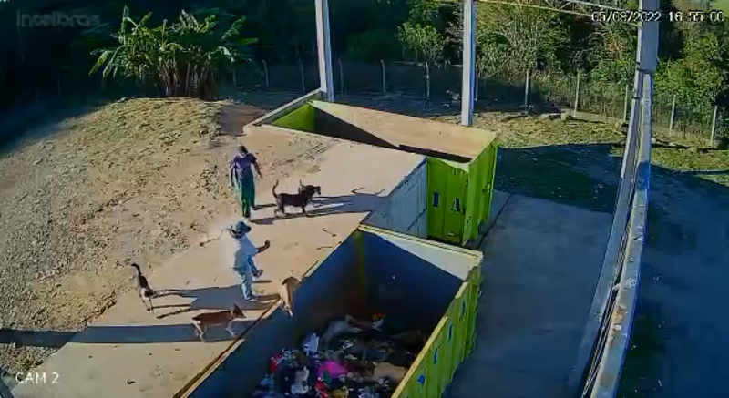 Imagem de destaque