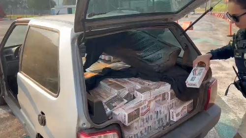Imagem de destaque