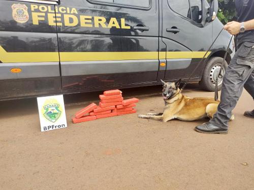 Imagem de destaque