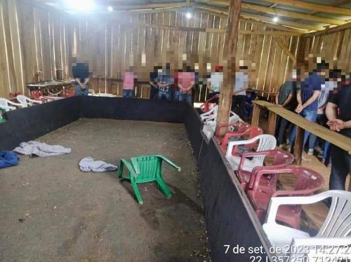 Imagem de destaque