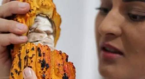 Imagem de destaque