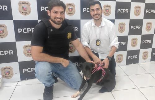 Imagem de destaque