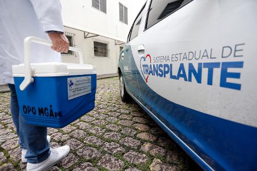 Imagem de destaque