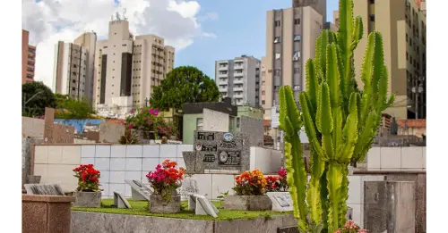 Imagem de destaque