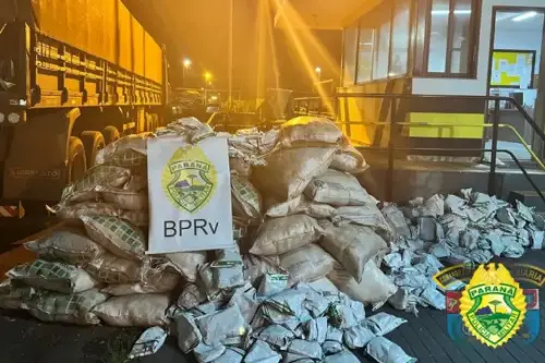 Imagem de destaque
