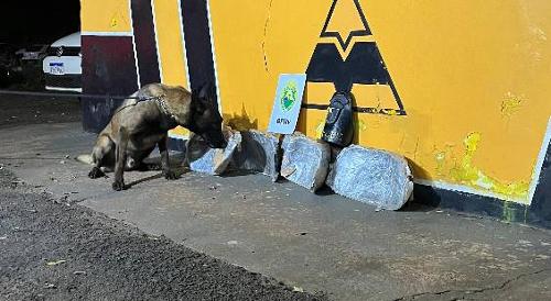 Imagem de destaque