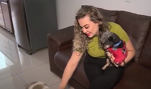 Imagem de destaque