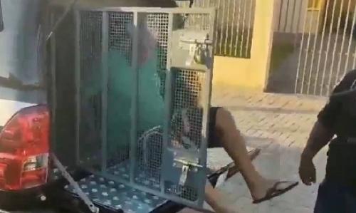 Imagem de destaque